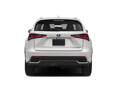 2018 Lexus NX 300h